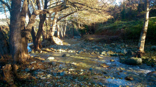 ACI-Aliso-Fiume-Vivu